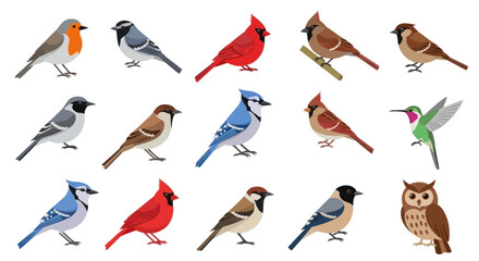 Various Birds Collection: Robin, Blue Jay, Cardinal, Sparrow, Hummingbird, Owl © INFAYUFA