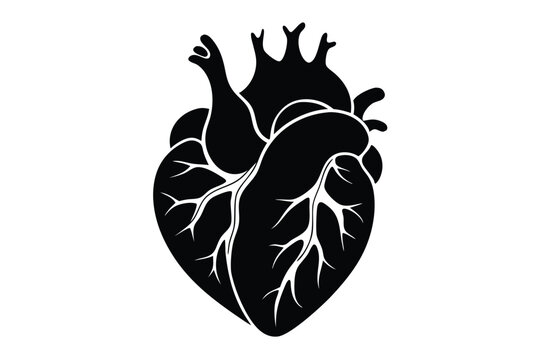 human heart silhouette line art vector illustration with a white background