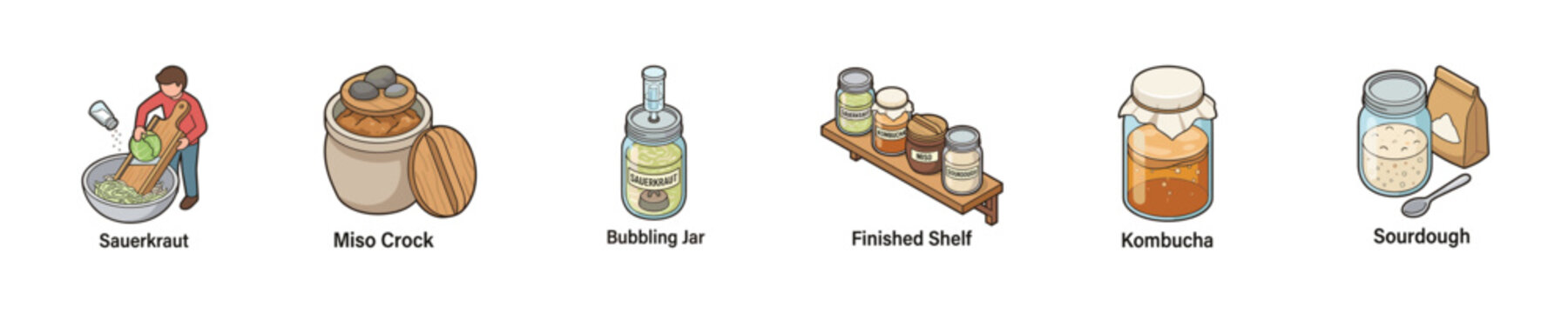 Collection of fermented foods and ingredients for home preparation