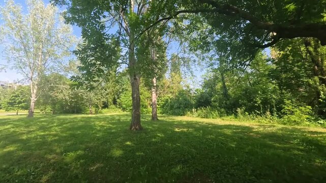 Walking Among The Trees At The Park, Milan, Italy - POVVideo - NO AUDIO