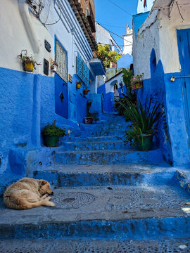 Gasse in Chefchaouen