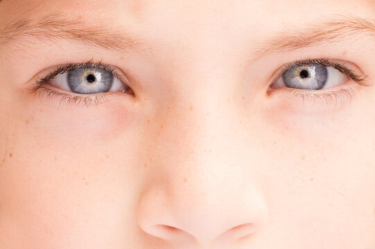 Full frame Close-up portrait of a boy's blue eyes