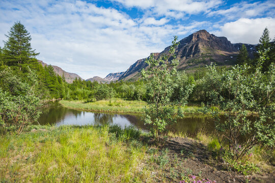 Quiet backwater of Hoisey River on Putorana Plateau. Russia, Siberia