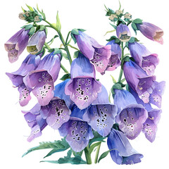 Foxglove Flower, watercolor with intricate brush textures and gentle highlights, isolated on a white background. © lunaris