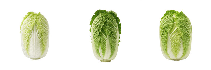 Obraz premium Fresh Green Romaine Lettuce Heart Isolated PNG Transparent