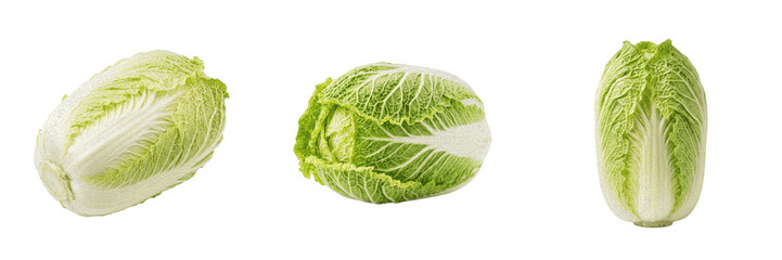 Fototapeta premium Whole Fresh Napa Cabbage, Crisp Chinese Leafy Green Vegetable for Cooking and Kimchi Transparent Background PNG
