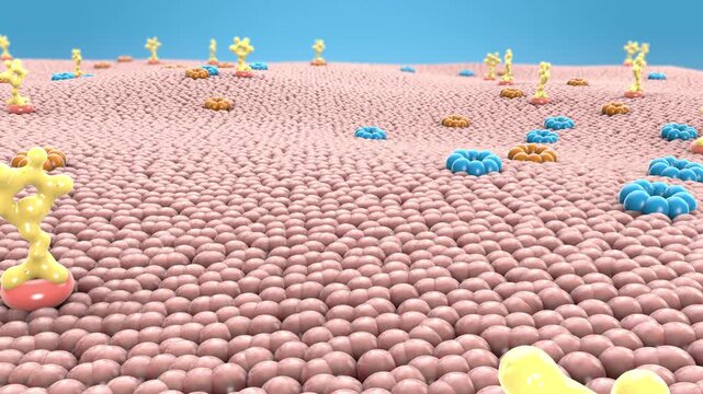 Carbohydrates and protein channels on the human cell membrane - 3d illustration