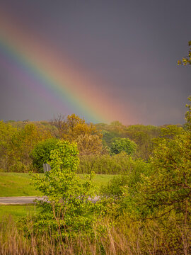 Vibrant rainbow stretching across a dark stormy sky over a lush green forest and grassy field in a suburban Illinois forest preserve during spring