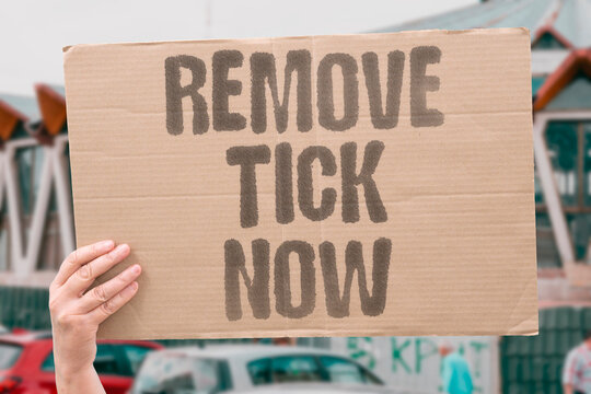 "Remove Tick Now" Prompt tick removal dramatically reduces infection transmission risk. PROMPT. TICK. REMOVAL. INFECTION. TRANSMISSION.