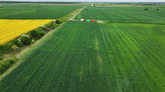Field crop overview