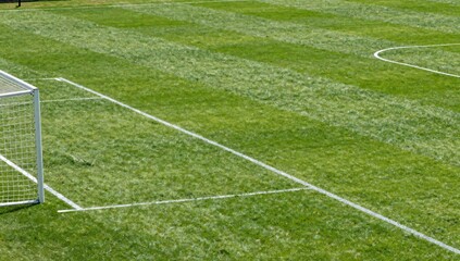 Obraz premium Aerial view of soccer field shows vibrant green grass and white boundary lines