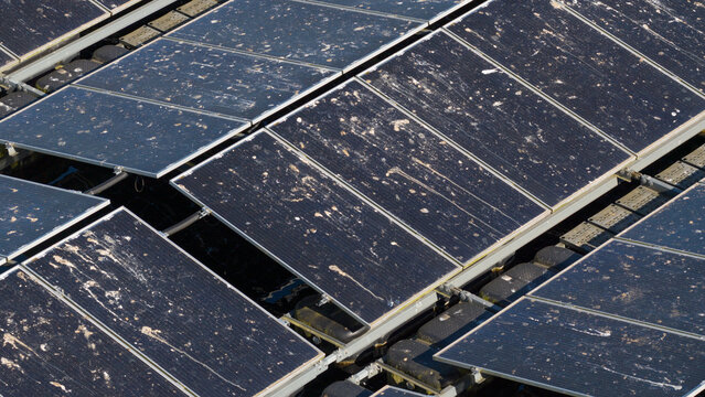 Aerial view of floating solar panels covered in bird droppings and dirt on a sunny day in Zwolle, Overijssel, Netherlands.