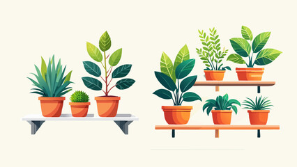 Obraz premium Various potted plants displayed on shelves, creating a beautiful indoor garden scene