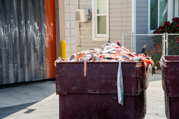 Large bin overflowing with discarded salmon fish waste and scraps outdoors © Tom Harwood