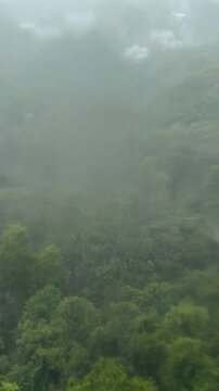 Time lapse de chuva intensa na Floresta Amaz&ocirc;nica em Ponta Negra Manaus durante inverno amaz&ocirc;nico