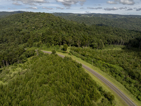 Aerial view of the winding road through the dense canopy of Lembus Forest under a cloudy sky in Eldama Ravine, Baringo County, Kenya.