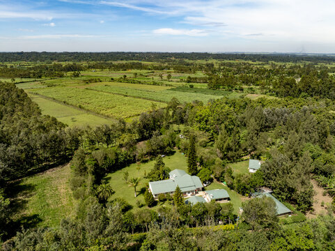 Aerial view of a residential estate with green roofs nestled among lush trees and sprawling agricultural fields under a bright sky Webuye, Bungoma County, Kenya.