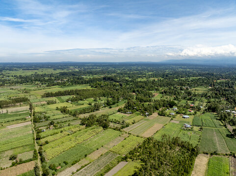 Aerial view of lush agricultural fields, scattered trees, and rural settlements under a bright sky Webuye, Bungoma County, Kenya.