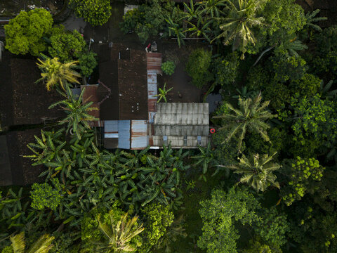 Aerial view of a residential building with tiled and metal roofs surrounded by dense tropical vegetation and banana trees in Klaten, Central Java, Indonesia.