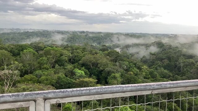 MANAUS, BRASIL - 11 DE ABRIL, 2026: Copas das &aacute;rvores da Amaz&ocirc;nia vistas do topo da torre do MUSA