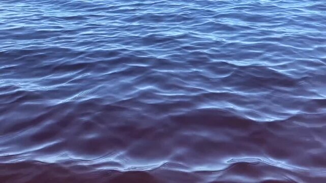 Ondula&ccedil;&otilde;es do Rio Negro sob c&eacute;u azul tropical filmadas de dentro da &aacute;gua em Manaus