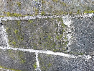 Fototapeta premium Full Frame of the ancient wall of bricks with dampness and dirty in the field, with mold and yellow moss due to humidity