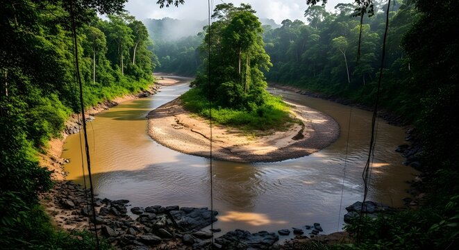 Tropical river bend with lush jungle canopy and small island