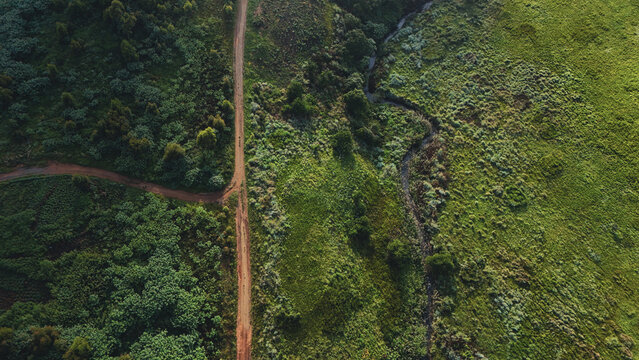 Aerial view of a winding dirt road and a small stream cutting through lush green vegetation and dense shrubland Garden Route District Municipality, Western Cape, South Africa.