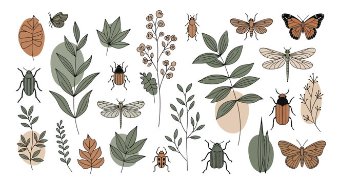 Collection of insects and leaves on white background.
