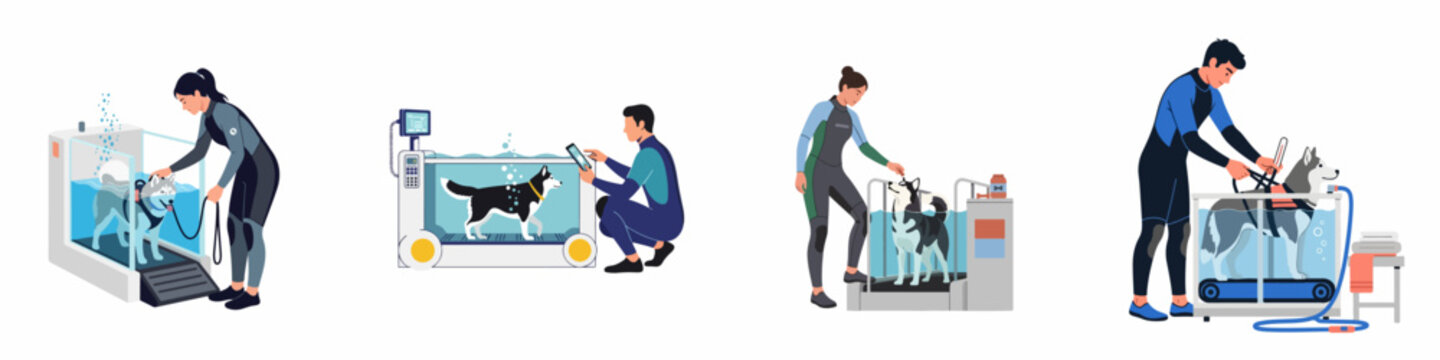 Set of flat vector illustrations depicting dogs undergoing hydrotherapy on underwater treadmills with professional veterinary therapists for physical rehabilitation.