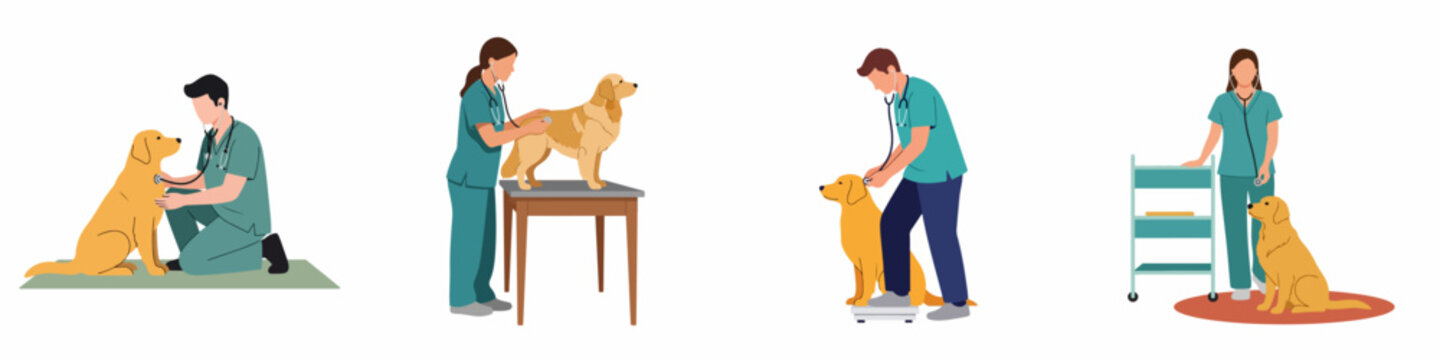 Set of flat vector illustrations showing male and female veterinarians examining golden retriever dogs with stethoscopes in various medical clinic scenarios.