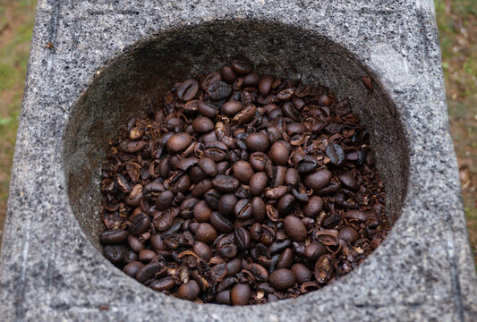 Roasted coffee beans in a mortar or grinding stone will be grounding manually