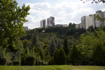 Urban park landscape with lawn, conifer, tree canopy, and apartment block in Ankara, Turkey, for city development, public recreation, real estate, green space, tourism, and planning. © Elena