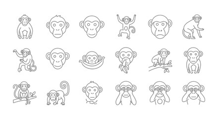 Set of line art monkey illustrations in various poses for design and use © Kali