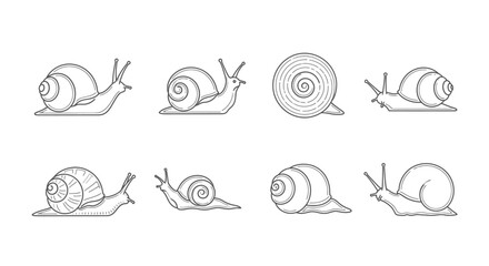 Vector illustrations of snails in various poses for design elements © Kali