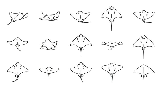 Abstract illustration of diverse stingray outlines on a white background