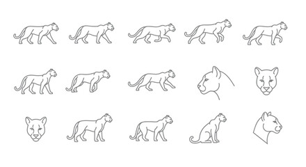 Set of panther outlines depicting various poses and actions for design © Kali