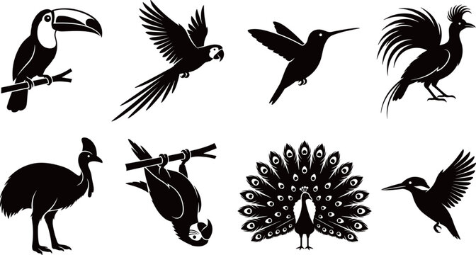 Tropical Birds and Exotic Wildlife Silhouette Icons Set, Toucan, Parrot, Hummingbird, Peacock, Kingfisher and Cassowary Vector Symbols for Nature and Zoo Design