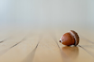 Closeup of acorn sitting on empty tabletop © Bill Gallery