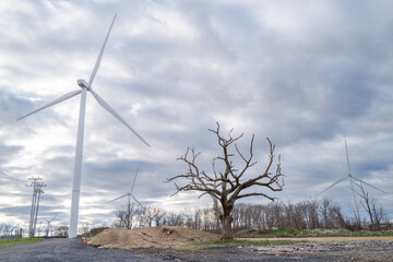 Wind turbine with dead tree in foreground © Bill Gallery