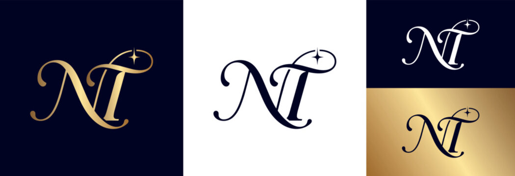Exclusive monogram nt initial letter logo in gold and navy colors.