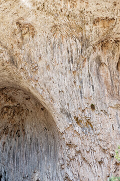 Detailed travertine rock formations on the underside of the Tonto Natural Bridge, Arizona