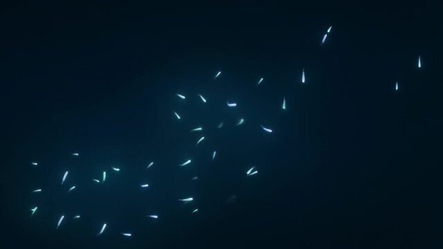Mysterious Luminescence: A mesmerizing group of tiny, illuminated creatures float in a deep ocean, their ethereal glow creating a scene of tranquil mystery in the underwater abyss.