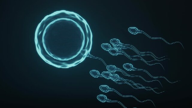 A captivating holographic representation of a human egg cell and sperm cells, illustrating the intricate biological process of fertilization with dynamic motion.