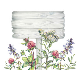 Watercolor tablet and wildflower yarrow and lungwort and clover isolated on white background. Flower milfoil for wedding. Summer clipart with meadow and board for wallpaper. Art with copy space © NatashaKun