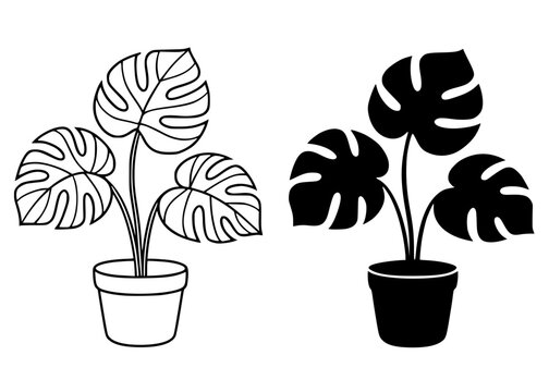 Monstera plant minimalist illustration, outline and silhouette icons