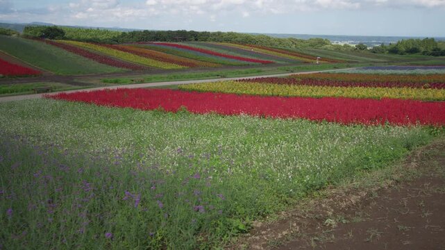 虹色ガーデン ふるるの丘 Rainbow Garden Fururu Hill Japan
