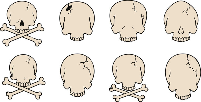 Vintage human skull and crossbones vector set, hand drawn anatomical cranium illustrations, beige pirate skeleton bone icons for gothic design