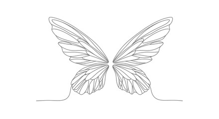 Fototapeta premium Elegant Butterfly Wings Line Art - Minimalist Insect Design
