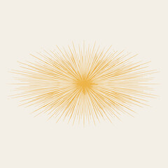 Obraz premium Horizontal Oval Sunburst Vector Graphic with Dense Exploding Radial Rays for Cinematic Light Flare Retro Logo Backdrops and Power Energy Concept